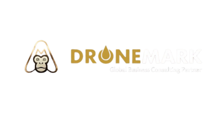 Dronemark International Logo
